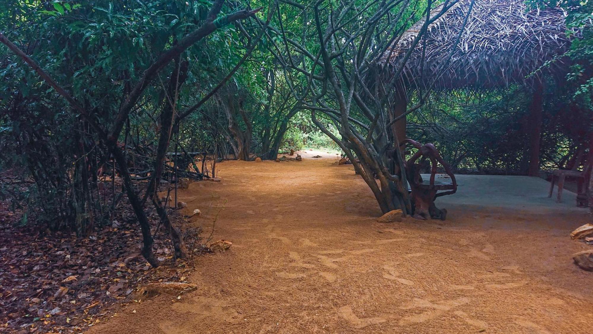 Yala Podi Hoona Bush Camp Hotell Eksteriør bilde