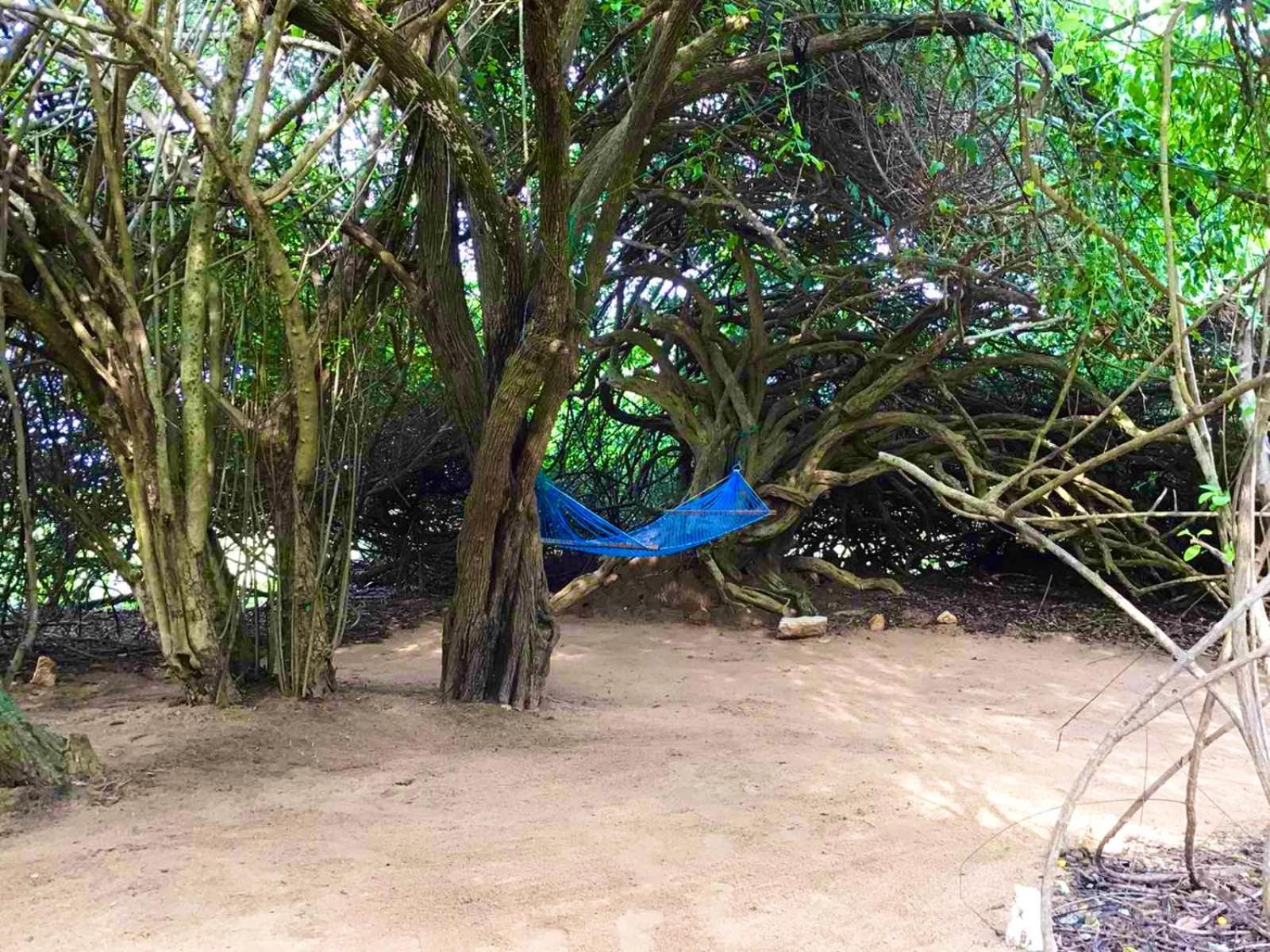 Yala Podi Hoona Bush Camp Hotell Eksteriør bilde
