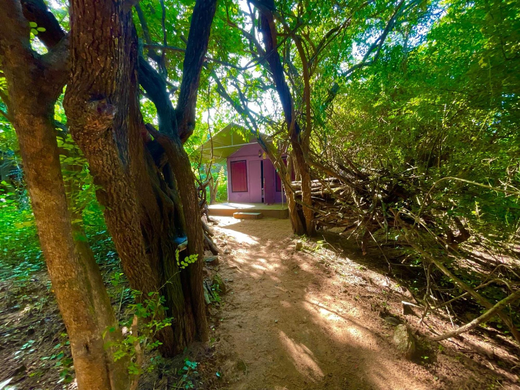 Yala Podi Hoona Bush Camp Hotell Eksteriør bilde