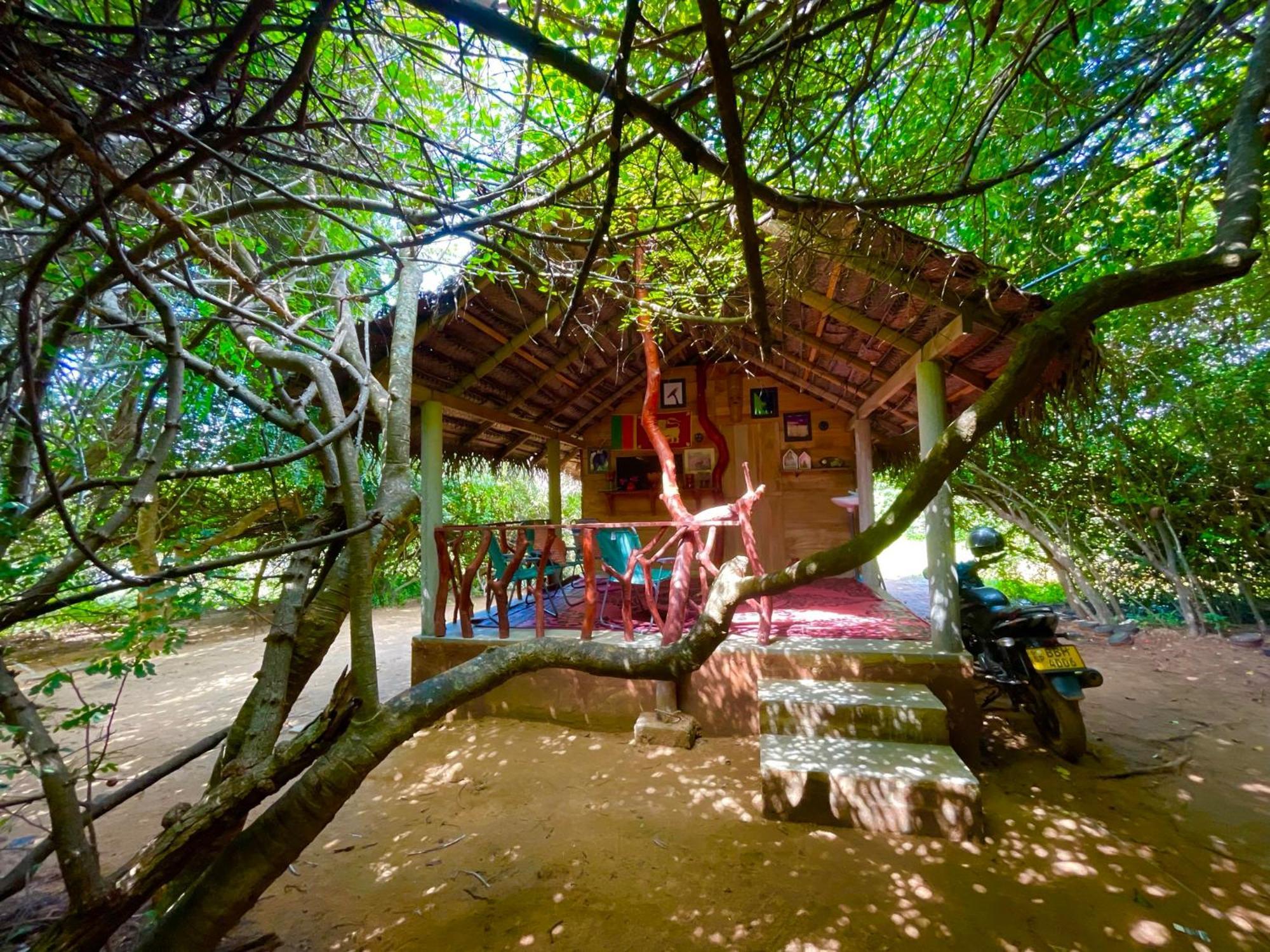 Yala Podi Hoona Bush Camp Hotell Eksteriør bilde
